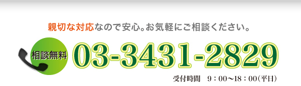 tel:03-3431-2829